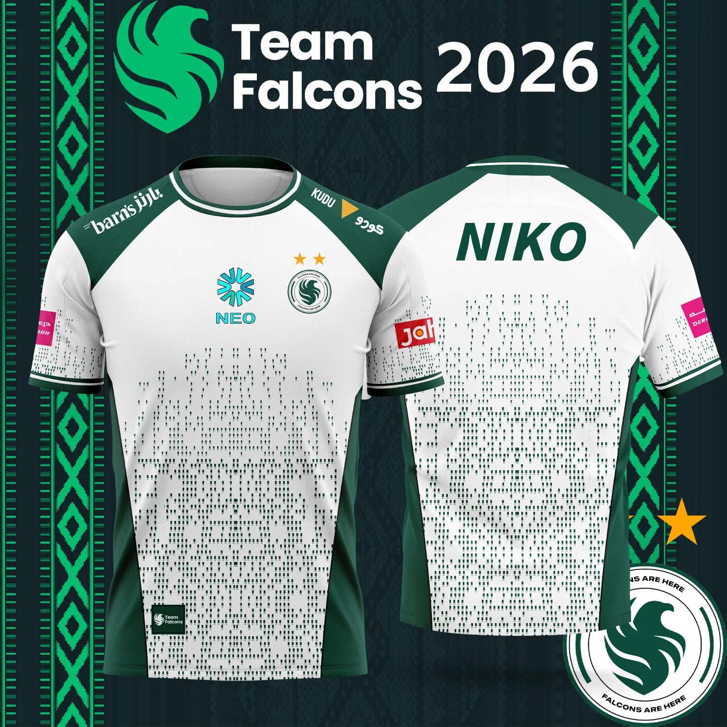 Family Matching 2026 Team Falc - Esports Gaming Shirts recension och pris